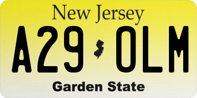 NJ license plate A29OLM