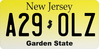 NJ license plate A29OLZ