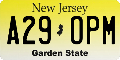 NJ license plate A29OPM