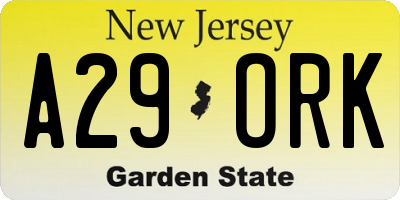 NJ license plate A29ORK