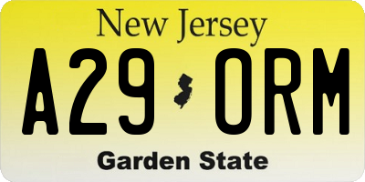 NJ license plate A29ORM