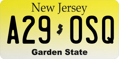 NJ license plate A29OSQ