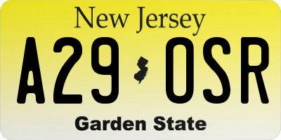 NJ license plate A29OSR