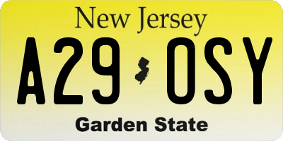 NJ license plate A29OSY