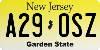 NJ license plate A29OSZ