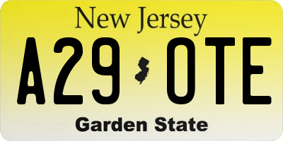 NJ license plate A29OTE