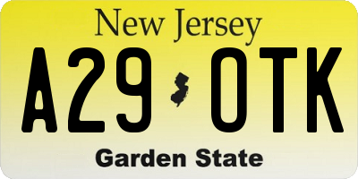 NJ license plate A29OTK