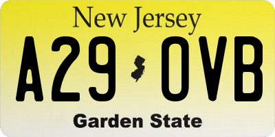 NJ license plate A29OVB