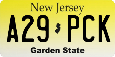 NJ license plate A29PCK