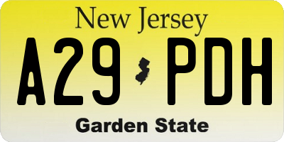 NJ license plate A29PDH