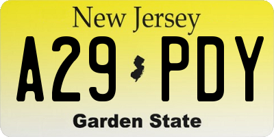 NJ license plate A29PDY