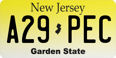 NJ license plate A29PEC