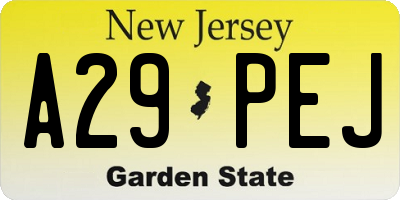 NJ license plate A29PEJ