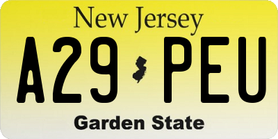 NJ license plate A29PEU