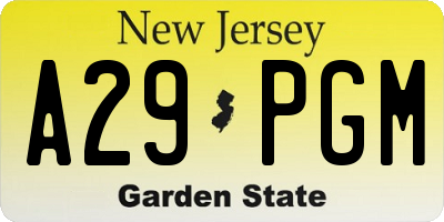 NJ license plate A29PGM