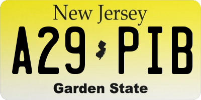 NJ license plate A29PIB