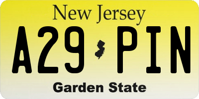 NJ license plate A29PIN