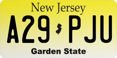 NJ license plate A29PJU