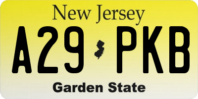 NJ license plate A29PKB