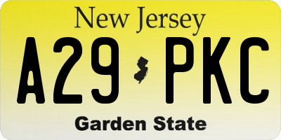 NJ license plate A29PKC