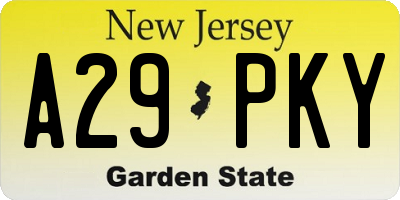 NJ license plate A29PKY