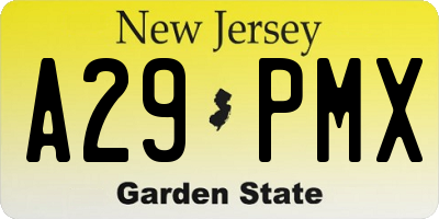 NJ license plate A29PMX
