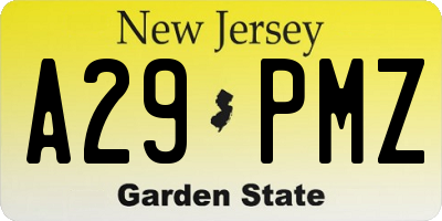 NJ license plate A29PMZ