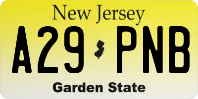 NJ license plate A29PNB