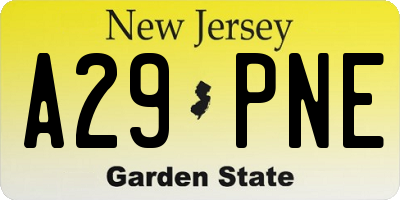 NJ license plate A29PNE