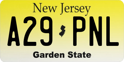 NJ license plate A29PNL