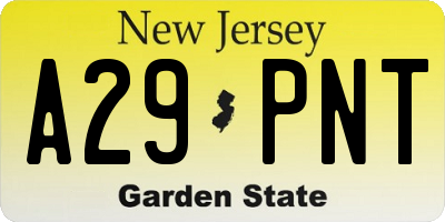 NJ license plate A29PNT