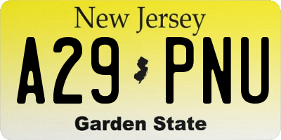 NJ license plate A29PNU