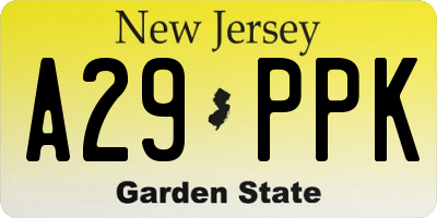 NJ license plate A29PPK