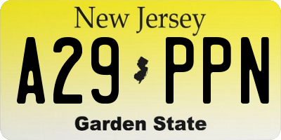 NJ license plate A29PPN