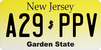 NJ license plate A29PPV