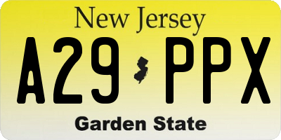NJ license plate A29PPX