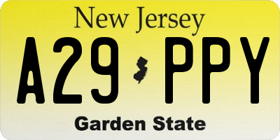 NJ license plate A29PPY