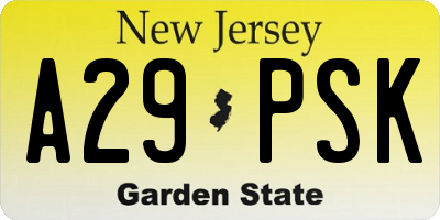 NJ license plate A29PSK