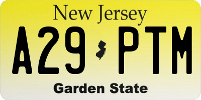 NJ license plate A29PTM