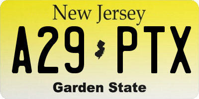 NJ license plate A29PTX