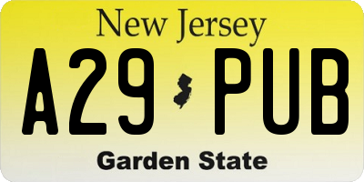 NJ license plate A29PUB