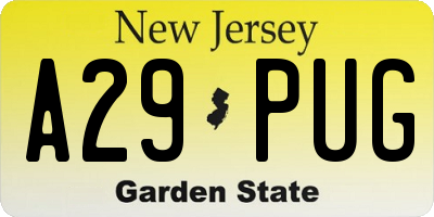 NJ license plate A29PUG