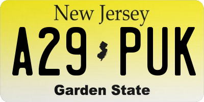 NJ license plate A29PUK