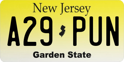 NJ license plate A29PUN