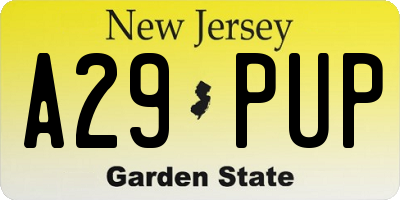 NJ license plate A29PUP