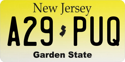 NJ license plate A29PUQ