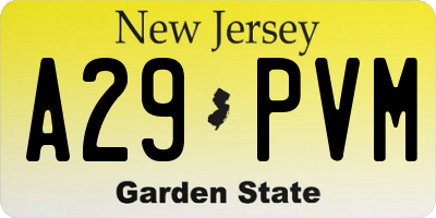 NJ license plate A29PVM