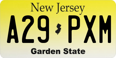 NJ license plate A29PXM