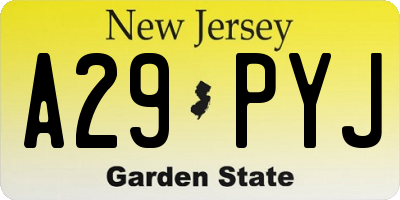 NJ license plate A29PYJ