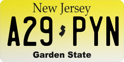 NJ license plate A29PYN